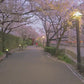 Virtual Walks - Tokyo Japan at Night