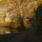Virtual Walks - South Of France