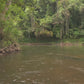 Virtual Rowing -  Khao Sok National Park - Thailand + Binaural Audio