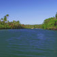 Virtual Rowing - Tropical Rivers with Rainforest and Lakes and Water Sounds