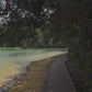 Virtual Walks - Singapore Boardwalks and Rain Forests