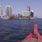Virtual Rowing - Virtual Cruise - Tour in Dubai United Arab Emirates - Indoor Rowing Exercise and Travel Experience