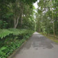 Virtual Walks - Singapore Tropical Gardens