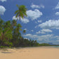 Tropical Beaches