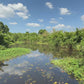 Relaxing Boat Journey - Tropical Lagoon - Sri Lanka