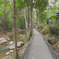 Virtual Walk - Mae Sa Waterfall - Chiang Mai - Thailand