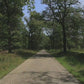Virtual Cycle Rides - Through The Forest