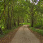 Fitness Journeys - Through the Rainforest