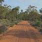 Fitness Journeys - Forest & Bush Trails