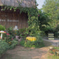 Virtual Walk - Bee Farm and Butterfly Garden - Thailand