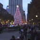 Virtual Walk at Christmas - Chicago - USA
