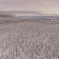 Snowfall