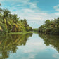 Virtual Rowing - Lagoon Moods - Sri Lanka