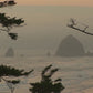 The Flow of Nature