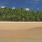 A Day at the Tropical Beach Dvd
