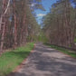 Virtual Cycle - Through the Forest with 3D Bird Songs