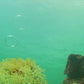 Ocean Dreaming