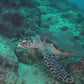 Underwater World