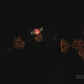 Fireworks Shows