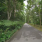 Virtual Walks - Singapore Tropical Gardens
