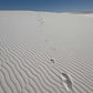 Virtual Walk - White Sands - New Mexico - USA