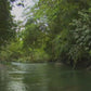 Jungle River Journeys