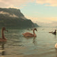 Water Melodies