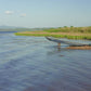 Virtual Rowing - Tropical Lake with Birds and Buffalos - with Binaural and Natural Sounds