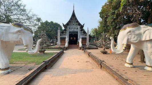 Nature Walk - Serenity Steps at Wat Lok Moli -Versailles de Flore Chiang Mai Thailand