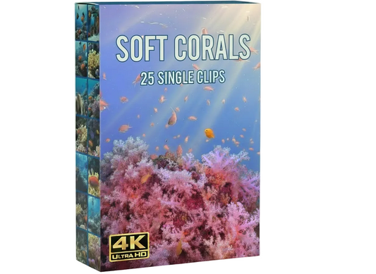Soft Corals underwater commercial clips