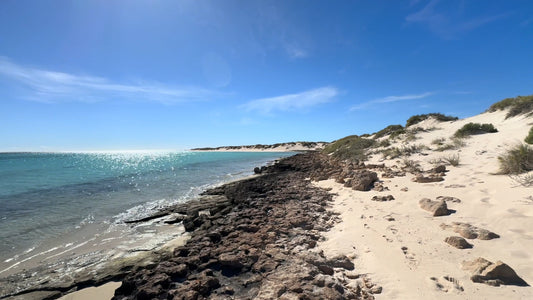 Virtual Walk - Turquoise Beach Walk - Australia