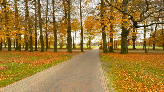 Virtual Walk - Paleis Het Loo in Fall - The Netherlands