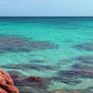 Ocean Tranquility Dvd
