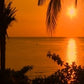 Paradise Beaches Dvd