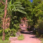 Fitness Journeys - Tropical Scenery 1