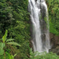 Garden of Eden