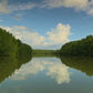 Mangrove River Journey & Tropical Waterfalls Dvd