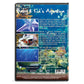 Baby & Kids Aquarium Dvd