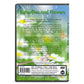 Butterflies & Flowers Dvd
