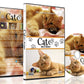 Cat TV Dvd