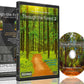 Fitness Journeys - Through the Forest 2