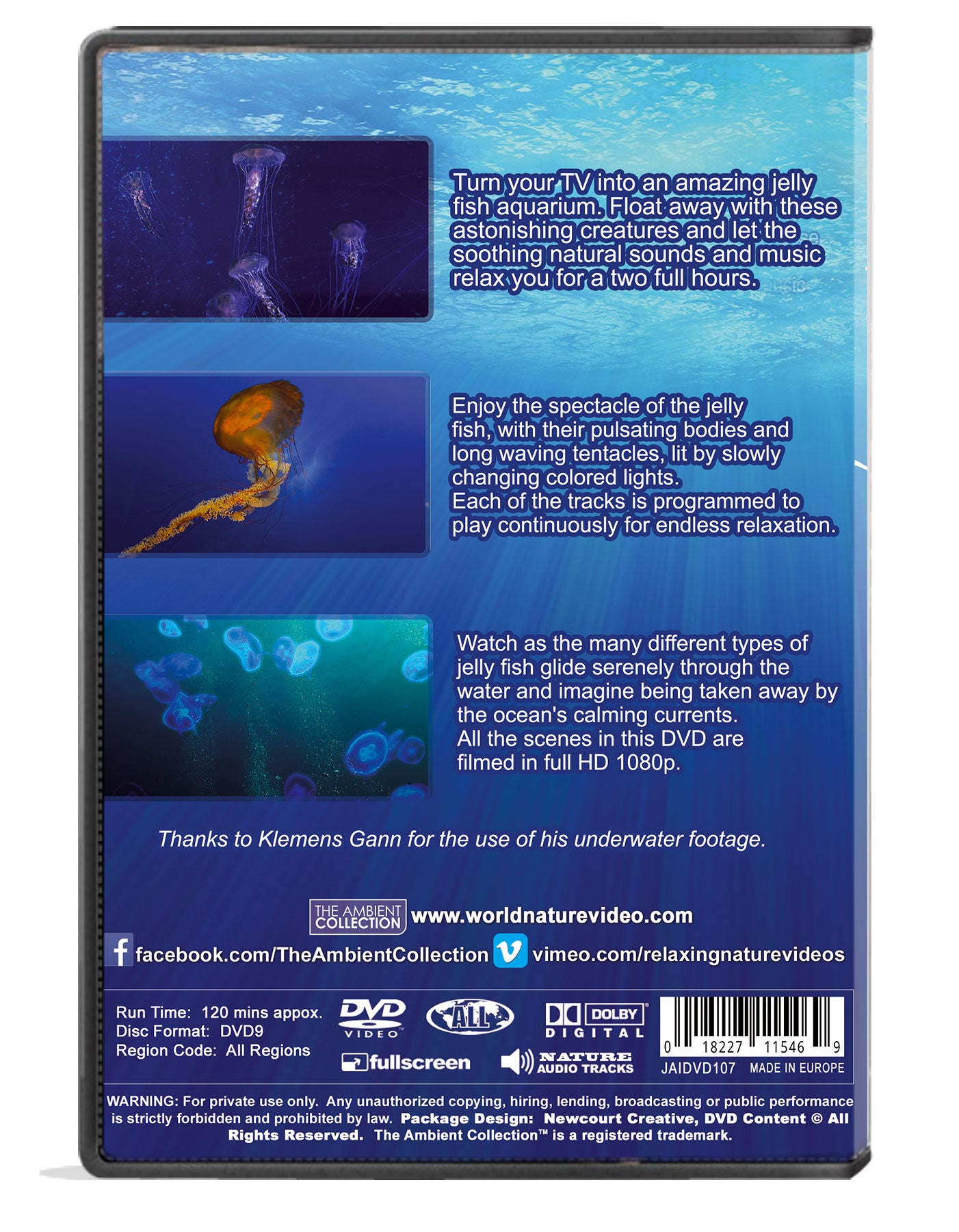 Jelly Fish Dvd