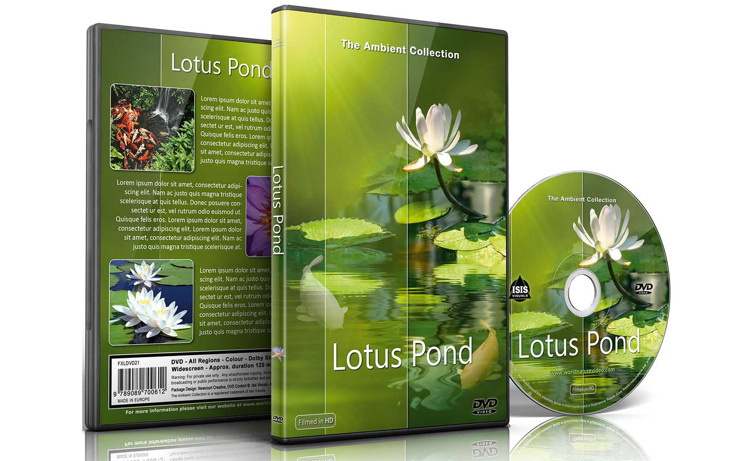 Lotus Pond