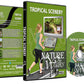 Nature Walks - Tropical Scenery
