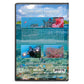 Ocean Reefs Aquariums Dvd