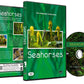 Seahorses