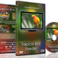 Tropical Bird Feeder Dvd