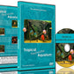 Tropical Freshwater Aquarium