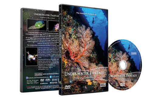 Underwater Fantasy