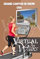 4_k_virtual_walk_grand_canyon_in_snow_usa